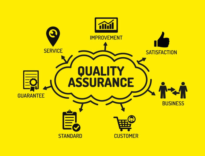 WEBSITE TESTING AND REVIEW $2